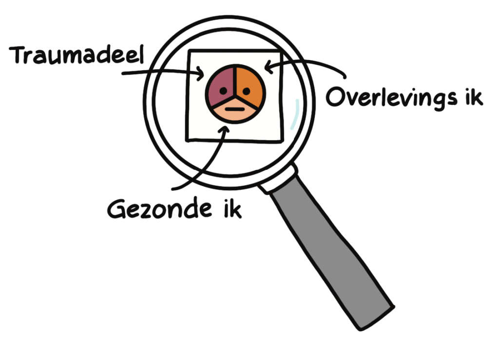 Trauma Begeleider (IOPT – Identiteit Georiënteerde Psychotrauma Theorie) & Gestalttherapeut. Ontdek je eigen psyche - ontdek je eigen delen